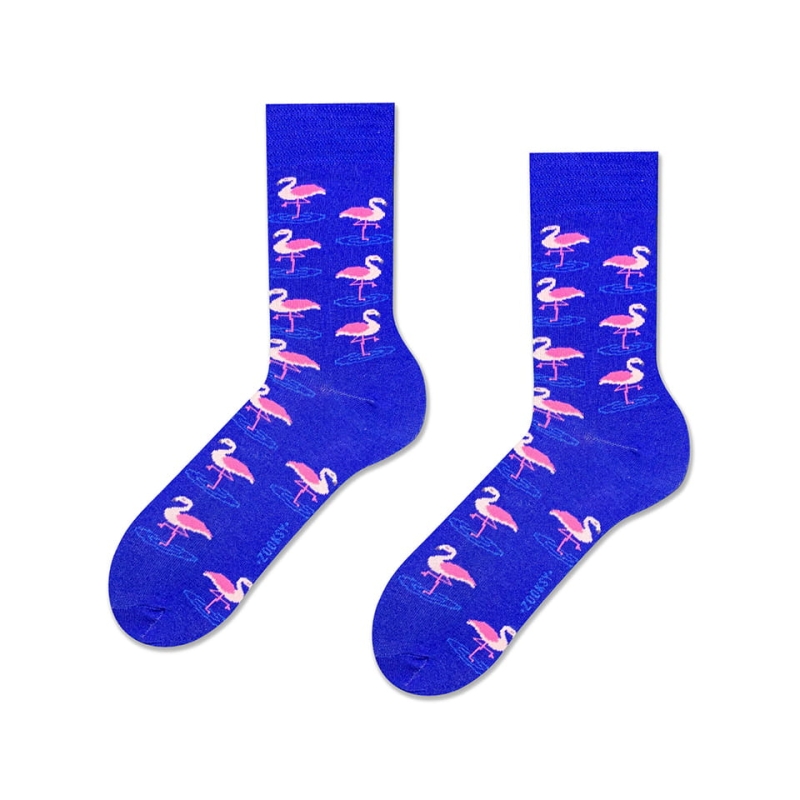 Wesole-skarpetki-w-male-flamingi-mixTURY-Pink-Flamingo-Zooksy-fajna-historia.jpg